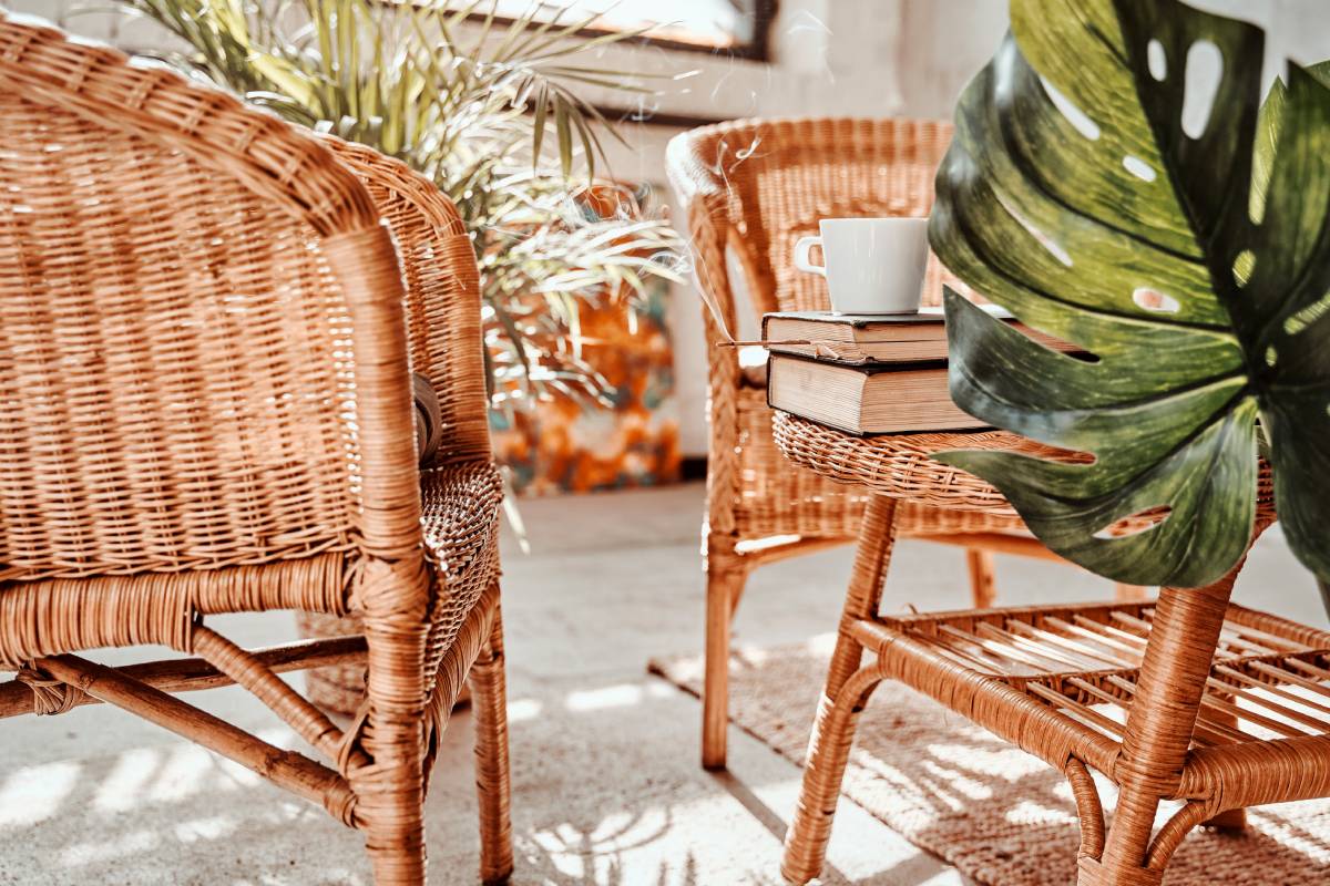 What is rattan in furniture? Its pros and cons? Is it expensive in Australia?